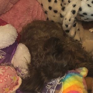 Meet your Posher, Stacy